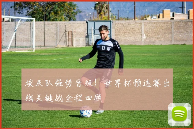 埃及队强势晋级！世界杯预选赛出线关键战全程回顾